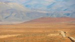 Route---Désert-d'Atacama.jpg